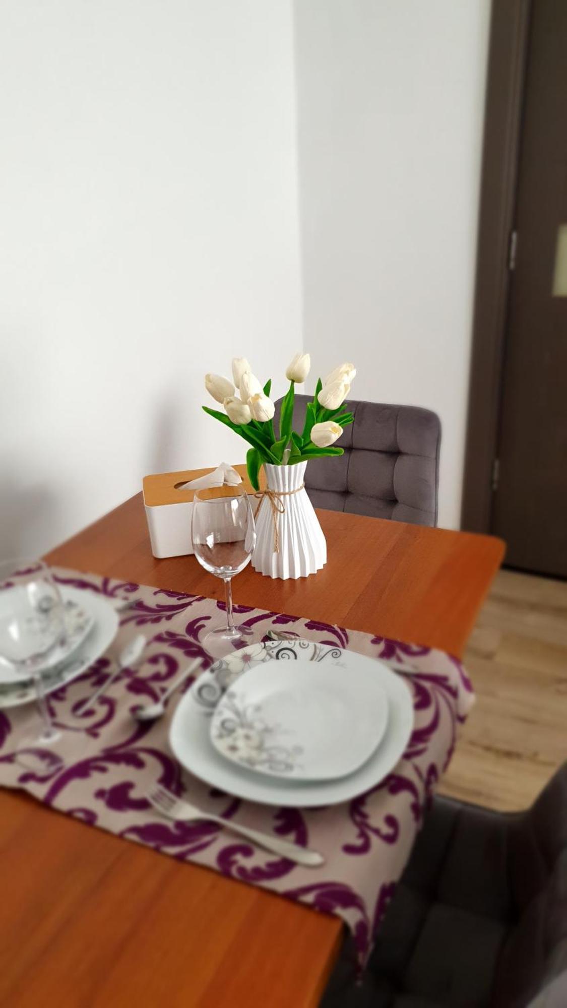 Andrei Apartment Braşov Esterno foto